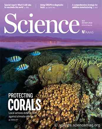 Getting to the root of forest symbioses - Science