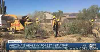 Arizona Healthy Forest Initiative uses inmate fire crews to help clean forest and prevent wildfires - ABC15 Arizona