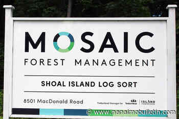VIU partners with Mosaic Forest Management on Indigenous internship program – Nanaimo News Bulletin - Nanaimo News Bulletin