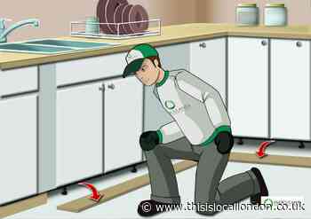 Inoculand – the best in the business for pest control