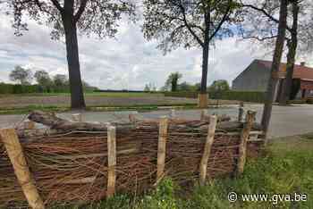 Gemeentebestuur Wuustwezel laat het gras groeien (Wuustwezel) - Gazet van Antwerpen Mobile - Gazet van Antwerpen