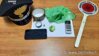 Cocaina nascosta nel furgoncino dell'Asl per il trasporto dei farmaci: 65enne barese nei guai - BariToday