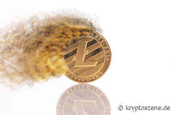 Litecoin Preis Prognose 2021: Fällt LTC/USD auf $125 vor einem starken Kursanstieg? - Kryptoszene.de
