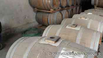 Modena Sequestrato mosto per il balsamico «Inadatto anche per condimento» - La Gazzetta di Modena