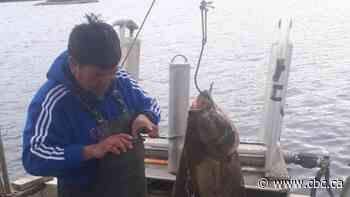 The coast guard destroyed his boat without asking. Now, a federal agency wants him to pay $8,500 bill