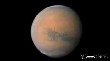 Newly discovered glaciers on Mars may help humans settle on the Red Planet one day