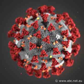 Investigating the coronavirus 'lab leak' theory