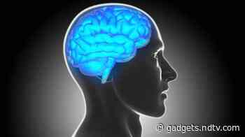 New Study Shows Brain Training Programmes Not Associated With Benefits of Cognition