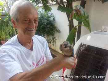 Velio, il “San Francesco” di Ardea premiato per la sua dedizione agli animali - Il Corriere della Città