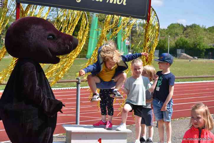 Molse sportkampioenen worden gespreid gehuldigd