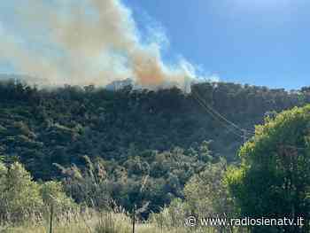 Area boschiva in fiamme tra Castiglione della Pescaia e Punta Ala - RadioSienaTv