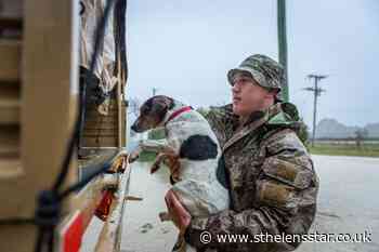 Hundreds evacuated from floods in New Zealand - St Helens Star