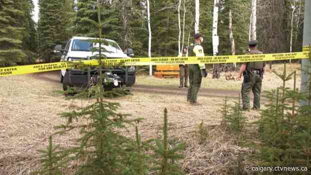 Grizzly bear captured, euthanized following deadly attack on Alberta woman