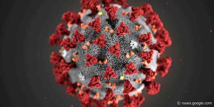 A virologist unpacks the lab leak hypothesis - Raw Story