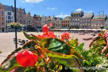 Rode en witte bloemen fleuren stad en dorp op