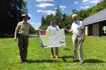 Zoniënwoud krijgt virtueel wandelnetwerk van 170 kilometer: “Het vermijdt heel veel verwarring en lelijkheid”