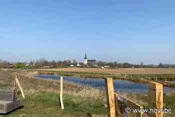 Hondenlosloopweide in Kessenich - Het Belang van Limburg
