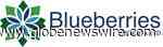 Blueberries Medical Reports 2021 Q1 Financial Results and - GlobeNewswire