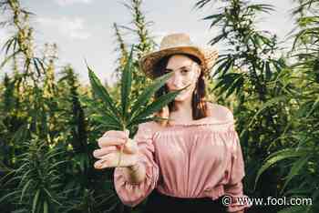 These Canadian Cannabis Producers May Benefit From an Israeli Medical Innovation - The Motley Fool