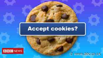 Privacy group targets website 'cookie terror'