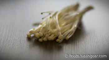 More mushrooms recalled over listeria risk: Here’s what we know