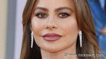 The Truth About Sofia Vergara's First Marriage - Nicki Swift