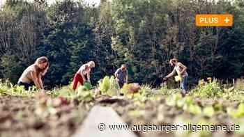 Gemeinschaft auf Schloss Blumenthal in Aichach hat viel vor - Augsburger Allgemeine