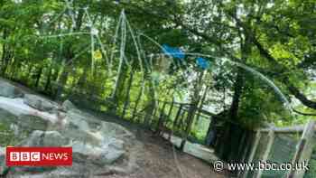 Dudley Zoo 'disheartened' by glass graffiti - BBC News