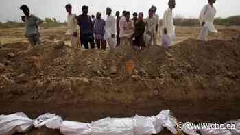 Climate change to blame for 37% of heat deaths, study estimates