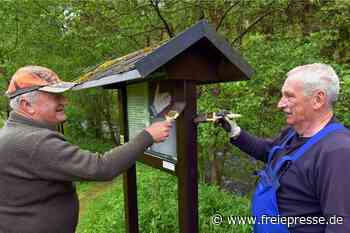 Fischbestand in der Göltzsch hat sich erholt - Freie Presse
