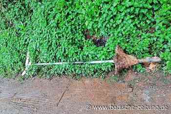 Sachbeschädigungen in Kuhbach und Reichenbach nehmen zu - Lahr - Badische Zeitung