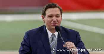 DeSantis Won't Bow Down to Cruise Lines, Will Enforce Florida Law Against Vaccine Passports