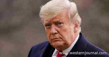 Trump Calls Out Fulton County, GA, for Delaying and Seeking to Shut Down Ballot Audit
