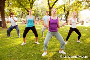 Controlled Trial Finds Tai Chi Similar to Conventional Exercise for Reducing Belly Fat