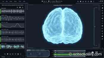 Brain Activity Reveals When White Lies Are Selfish