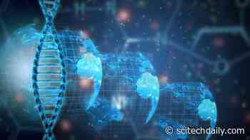 Genomic Research Into Different Ancestries Leads to Better Results and Better Care