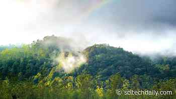 17 Years of Gravity Observations Show How Earth’s Water Cycle Is Ramping Up As Climate Warms