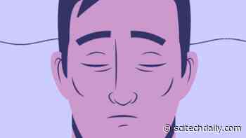 Escape From Oblivion: Innovative Experiment Shows How the Brain Reboots After Deep Anesthesia