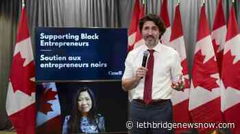 Federal government launches loan program for Black-owned businesses - Lethbridge News Now
