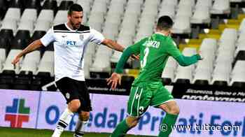 Matelica, per Di Renzo sirene dalla Serie B: c'è il Cittadella - Tutto Lega Pro