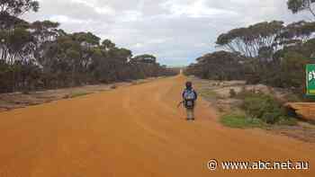 The school bus may soon stop coming for this four-year-old
