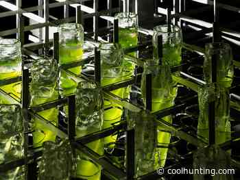 Venice Architecture Biennale 2021: Nature as the Ultimate Architect - Cool Hunting