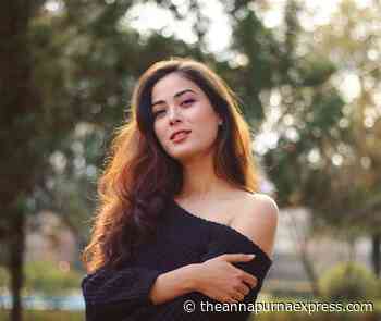 My Vision for Nepal | Socially just cities rich in native architecture - Annapurna Express