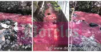 Vuelven aguas rojas a contaminar barrancas de Cuernavaca; acusan a industria de hacerlo - Diario de Morelos
