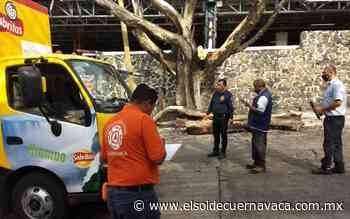 Vehículo comercial resulta dañado al caer una rama - El Sol de Cuernavaca