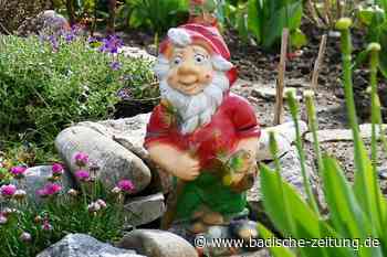 In Lörrach und Steinen sind Kleingärten beliebt wie nie - Lörrach - Badische Zeitung