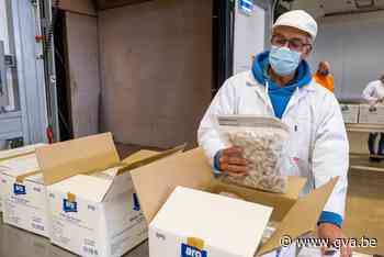 Voedselcontroleurs Antwerpse haven: “Garnalen uit India zijn... - Gazet van Antwerpen