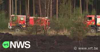 BEKIJK - Code geel voor natuurbranden in Antwerpen en Limburg, "achtergelaten flesje kan brand veroorzaken" - VRT NWS