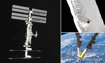 Tiny piece of space junk strikes International Space Station and leaves hole in robotic arm