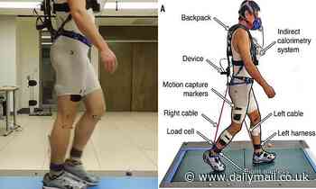 Backpack exoskeleton makes walking easier by taking the strain off knee muscles